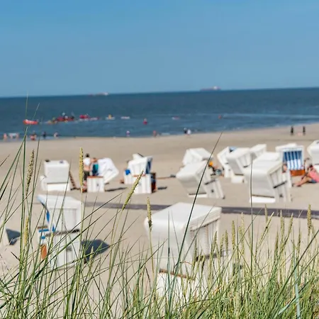 Lägenhet Strandfloh